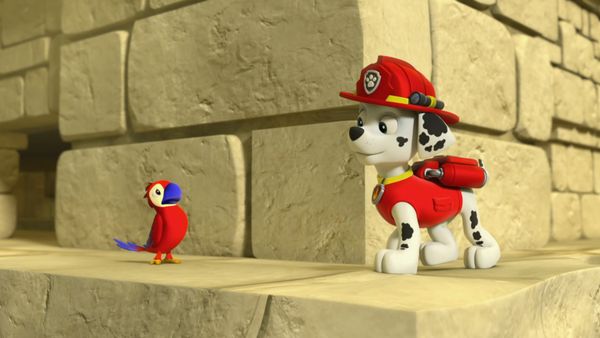 PAW Patrol LT - Los cachorros salvan al perico / Los cachorros salvan a la abeja reina