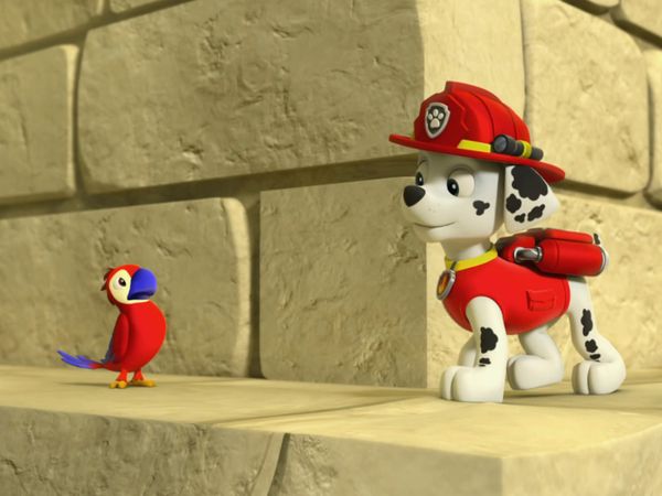 PAW Patrol LT - Los cachorros salvan al perico / Los cachorros salvan a la abeja reina