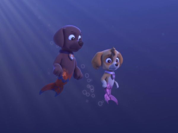 PAW Patrol LT - Los cachorros y la sirena