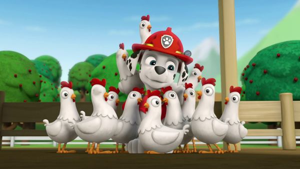 PAW Patrol LT - Salvemos el circo / La gallina perdida