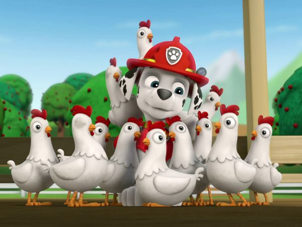 PAW Patrol LT - Salvemos el circo / La gallina perdida