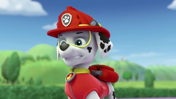 PAW Patrol LT - Reparemos el triciclo / Cachorros bomberos