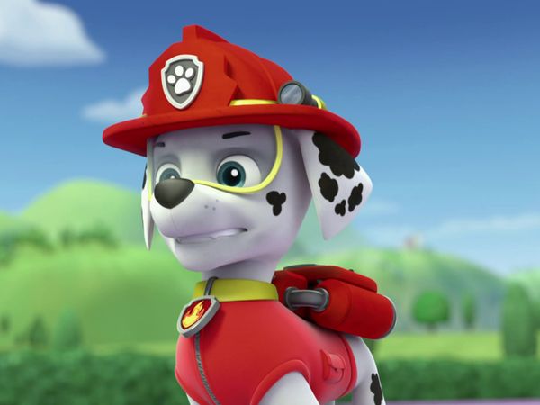 PAW Patrol LT - Reparemos el triciclo / Cachorros bomberos