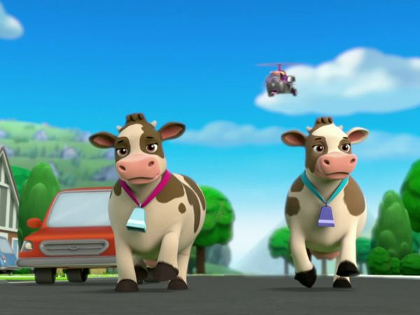 PAW Patrol LT - Los cachorros salvan la fiesta / El rescate de Alex