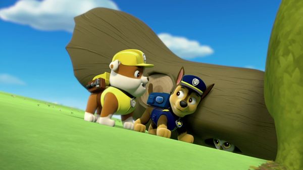 PAW Patrol LT - Un día de monos / Salvemos a mamá búho