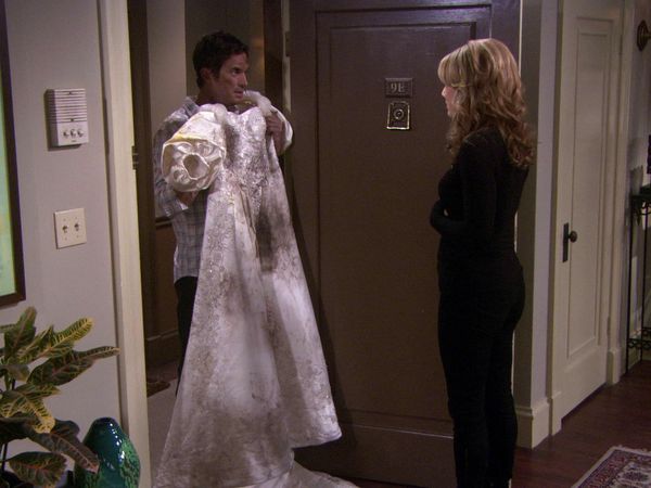 Rules of Engagement - Cats & Dogs