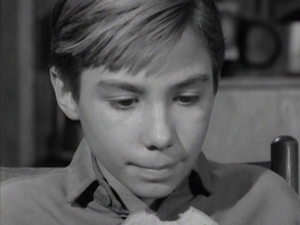 The Rifleman - Surveyors
