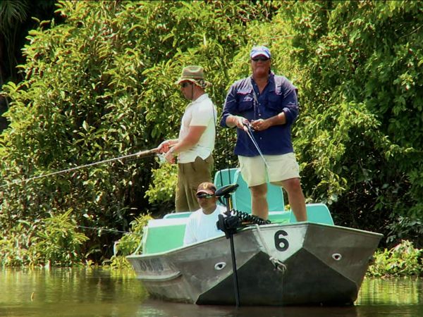 Monster Fish - AMAZON PEACOCK & BG GROUPER