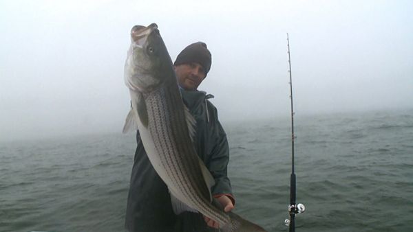 Monster Fish - NJ STRIPER & PAN YELLOWFIN