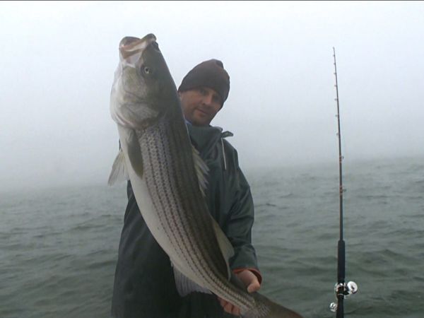 Monster Fish - NJ STRIPER & PAN YELLOWFIN