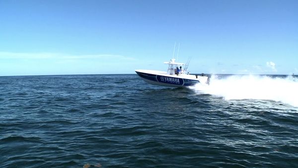 Monster Fish - PEI TUNA PART 1 & TEXAS KINGFISH PART 2