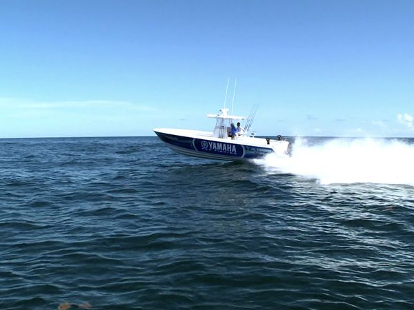 Monster Fish - PEI TUNA PART 1 & TEXAS KINGFISH PART 2