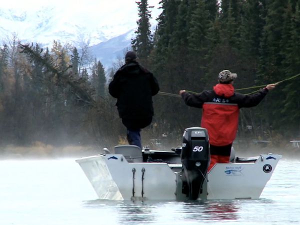 Monster Fish - ALASKA RAINBOWS & MEXICO SNOOK