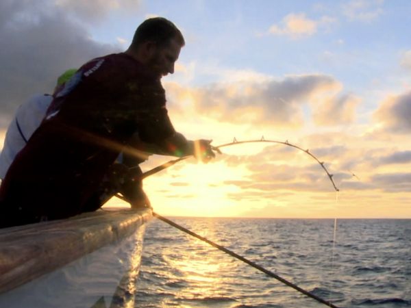 Monster Fish - LONG RANGE YELLOWFIN