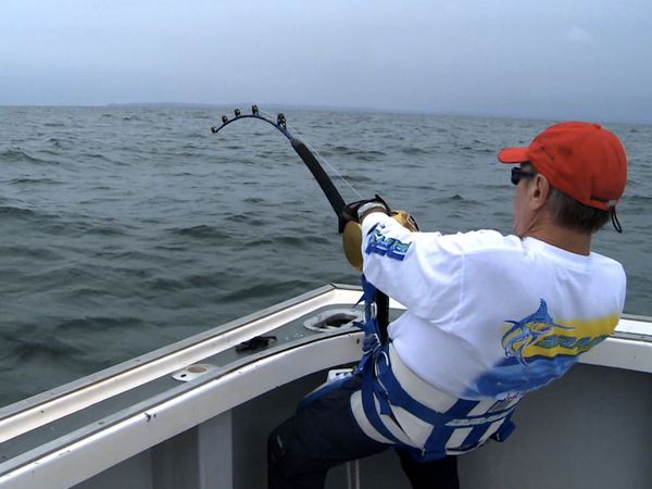 Monster Fish - PEI TUNA DB