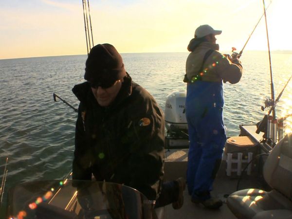 Monster Fish - NIA STEELHEAD