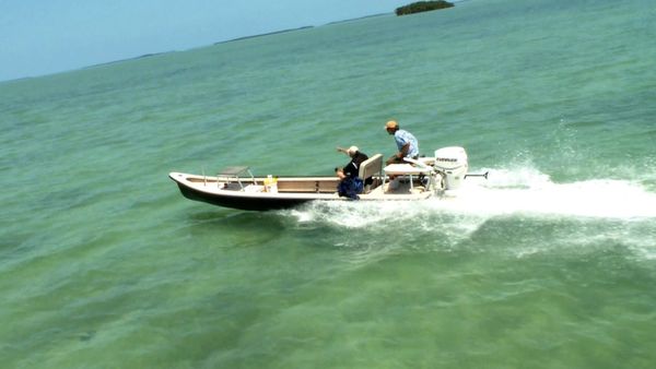 Monster Fish - SLK PERMIT