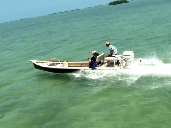 Monster Fish - SLK PERMIT