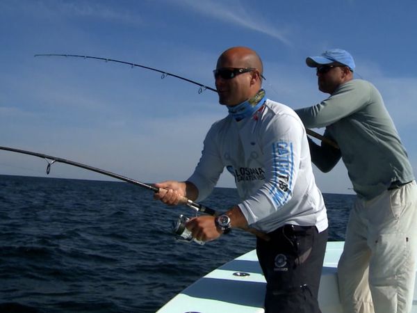 Monster Fish - COBIA