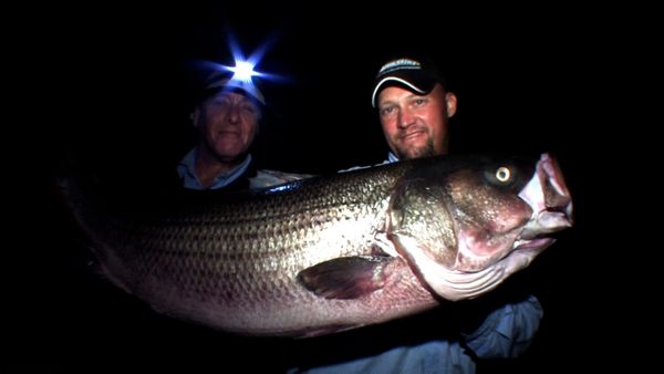Monster Fish - RI STRIPER