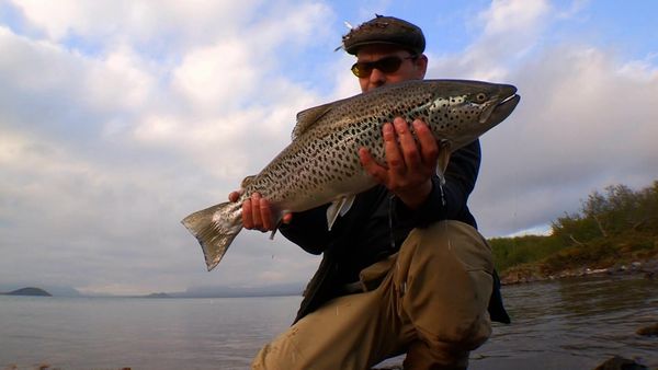 Monster Fish - IC TROUT GA