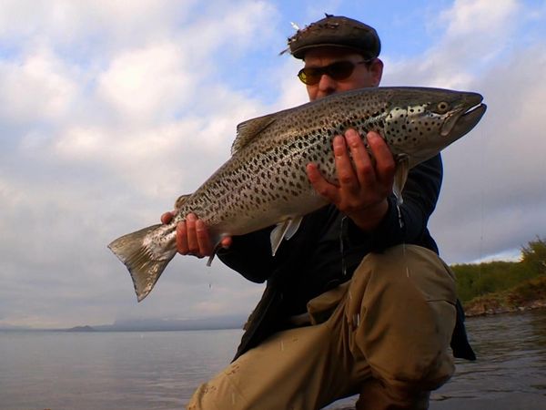 Monster Fish - IC TROUT GA