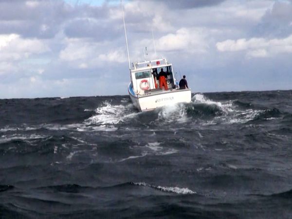 Monster Fish - PEI TUNA FLORIDA - PART 2