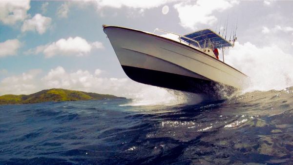 Monster Fish - FIJI DOGTOOTH - PART 2