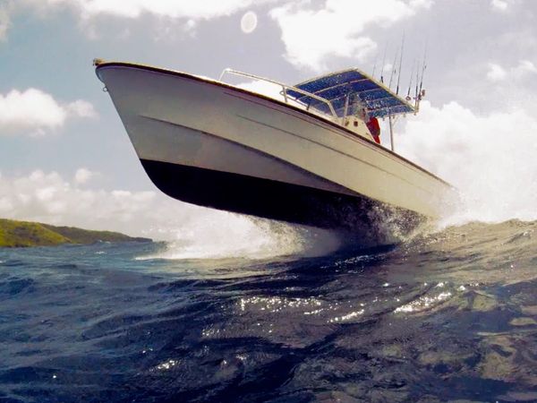 Monster Fish - FIJI DOGTOOTH - PART 2