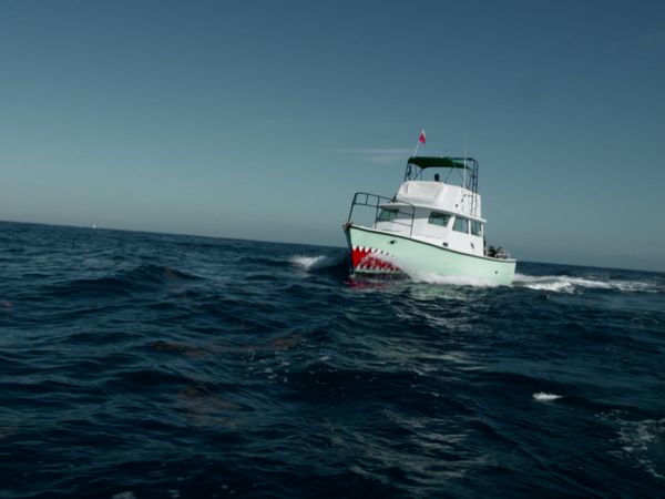 Blue Water Savages - Dusky Sharks