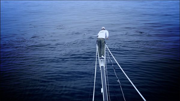 Monster Fish - Bahama Wahoo - Part 2