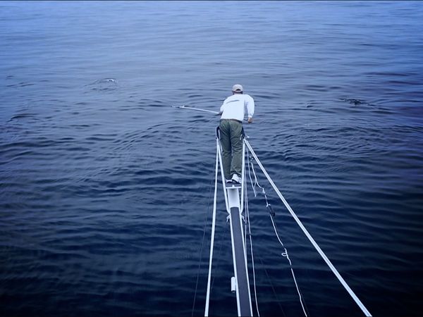 Monster Fish - Bahama Wahoo - Part 2