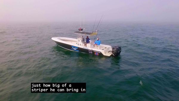 Monster Fish - Montauk Striper