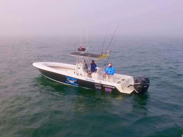 Monster Fish - Montauk Striper