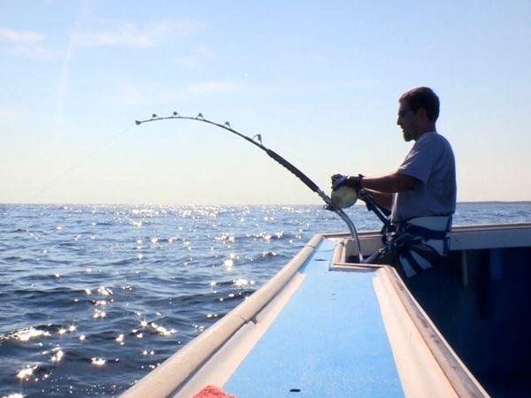 Monster Fish - PEI Tuna