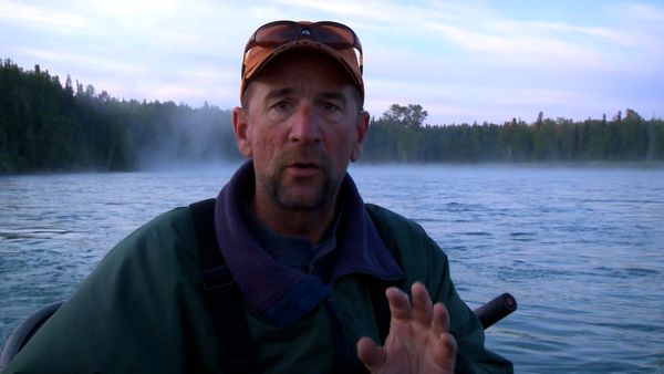 Monster Fish - Alaska King Salmon