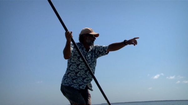 Monster Fish - Sugarloaf Key Permit