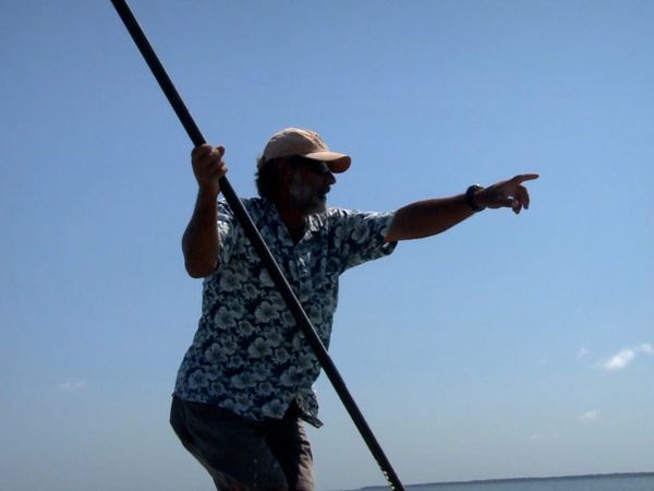 Monster Fish - Sugarloaf Key Permit
