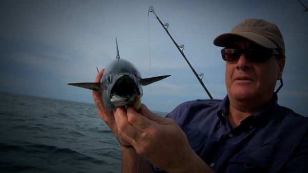 Monster Fish - Season Countdown