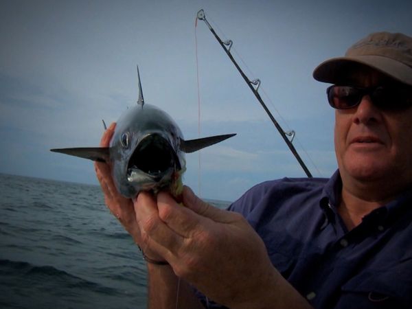 Monster Fish - Season Countdown