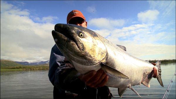 Monster Fish - Georges Bank