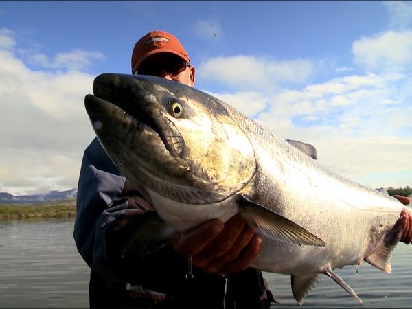 Monster Fish - Georges Bank