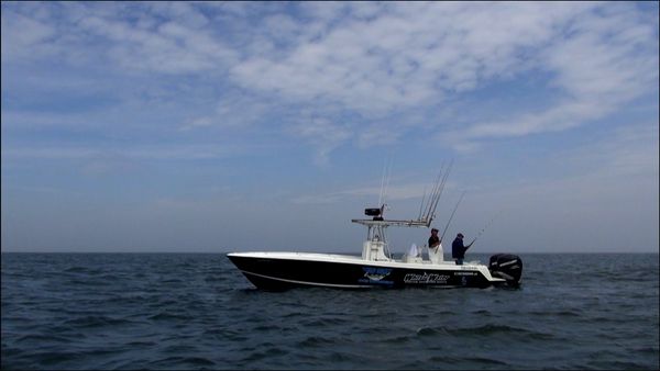 Monster Fish - Bering Sea King Salmon