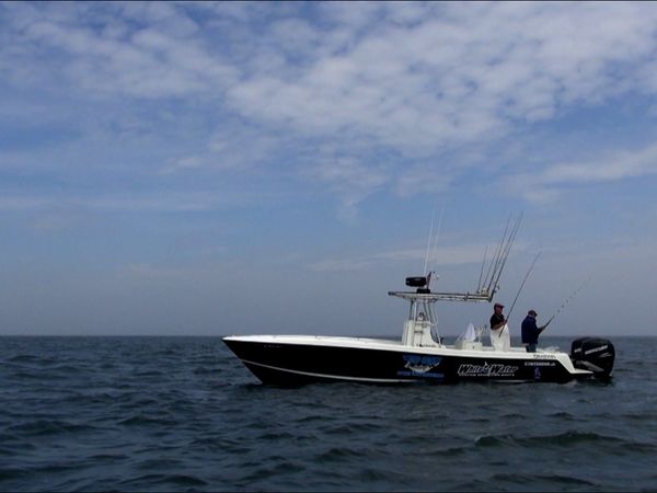 Monster Fish - Bering Sea King Salmon