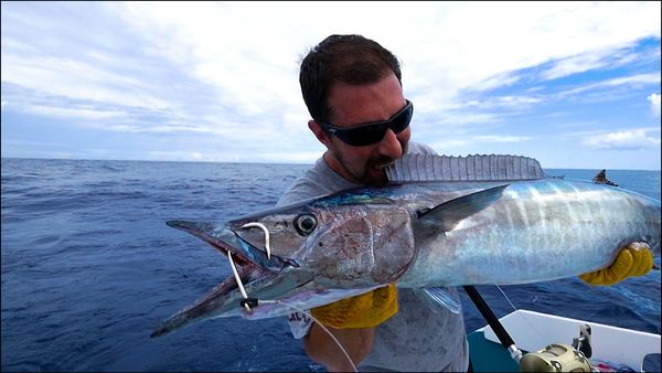 Monster Fish - San Salvador Marlin