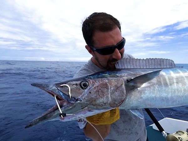 Monster Fish - San Salvador Marlin