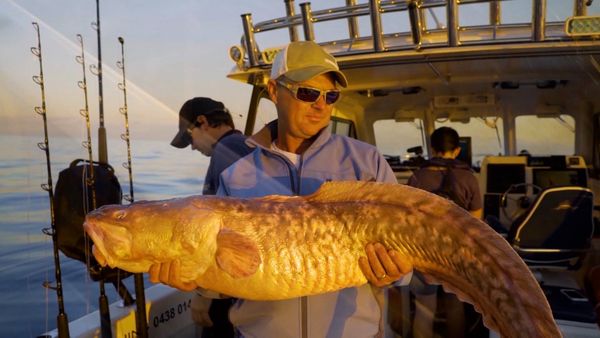 Monster Fish - Bass Strait Swordfish
