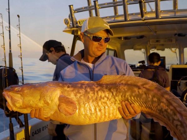Monster Fish - Bass Strait Swordfish