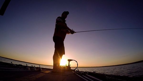 Monster Fish - Falcon Lake Bass