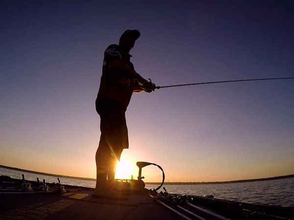 Monster Fish - Falcon Lake Bass